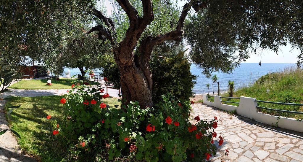Alexiadis Agia Paraskevi (Kassandra)